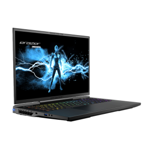 Medion ERAZER Beast X40