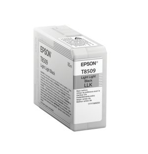 Epson T850900 blækpatron 1 stk Original Lys - lys sort