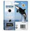 Epson C13T76084N10 blækpatron 1 stk Original Mat sort