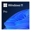 Windows 11 Pro ESD Licens OEM