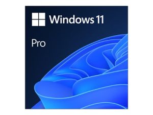 Windows 11 Pro ESD Licens OEM