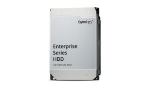 Synology Enterprise harddisk 20 TB 7200 rpm 512 MB 3.5