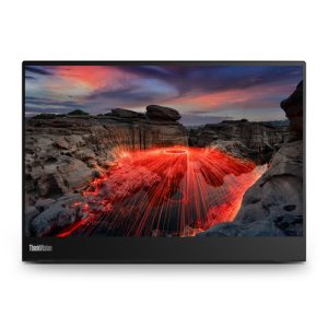 Lenovo ThinkVision M14t computerskærm 35,6 cm (14