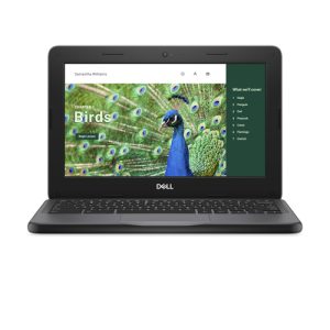 DELL Chromebook 3120 Intel® N N100 29,5 cm (11.6