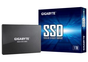 Gigabyte GP-GSTFS31100TNTD intern solid state drev 2.5