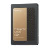 Synology Enterprise Series 1,92 TB 2.5