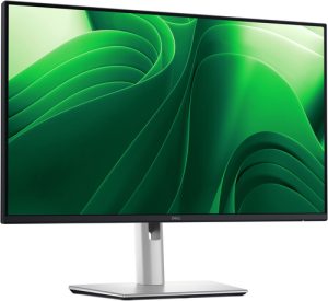 DELL Pro Plus P2425DE computerskærm 61 cm (24