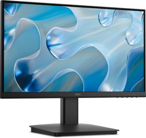 DELL SE2225HM computerskærm 54,6 cm (21.5